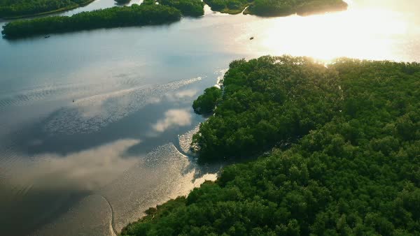 Rio com vegetação densa em seu entorno com um barco ao centro - BambooStock