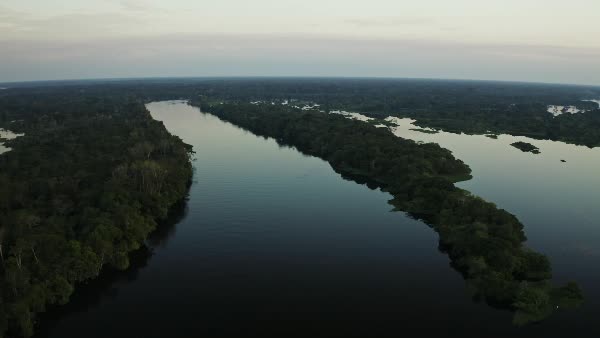 Vista aérea de um rio em meio a floresta amazônica - BambooStock