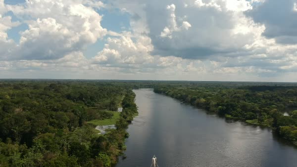 Vista aérea de um rio em meio a floresta amazônica - BambooStock