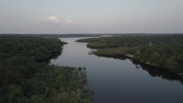 Vista aérea de um rio em meio à floresta amazônica ao amanhecer ...