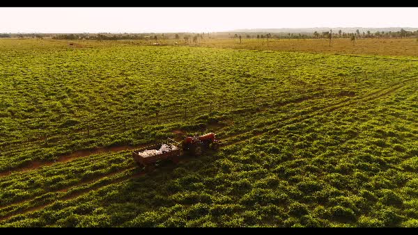 Trator em um pasto ao entardecer - BambooStock